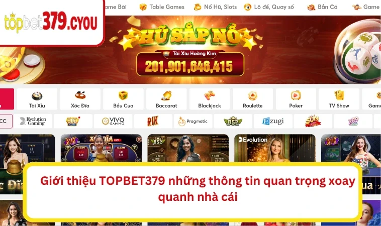 Giới thiệu TOPBET379 những thông tin quan trọng xoay quanh nhà cái