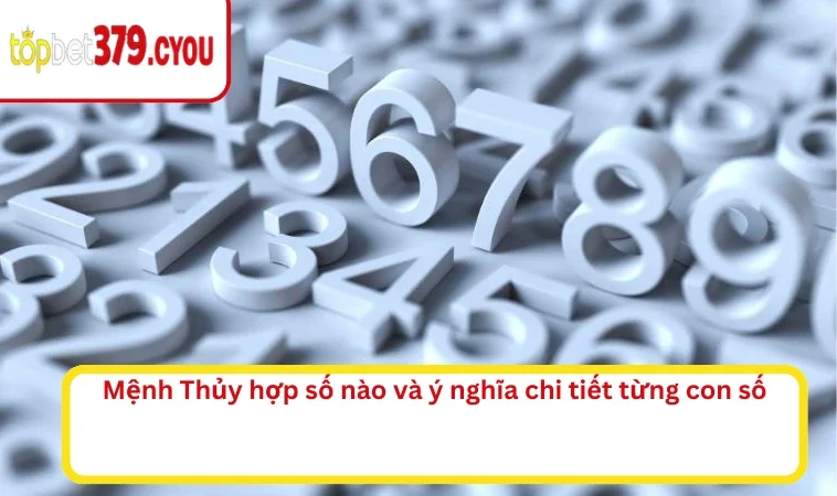 Mệnh Thủy hợp số nào và ý nghĩa chi tiết từng con số
